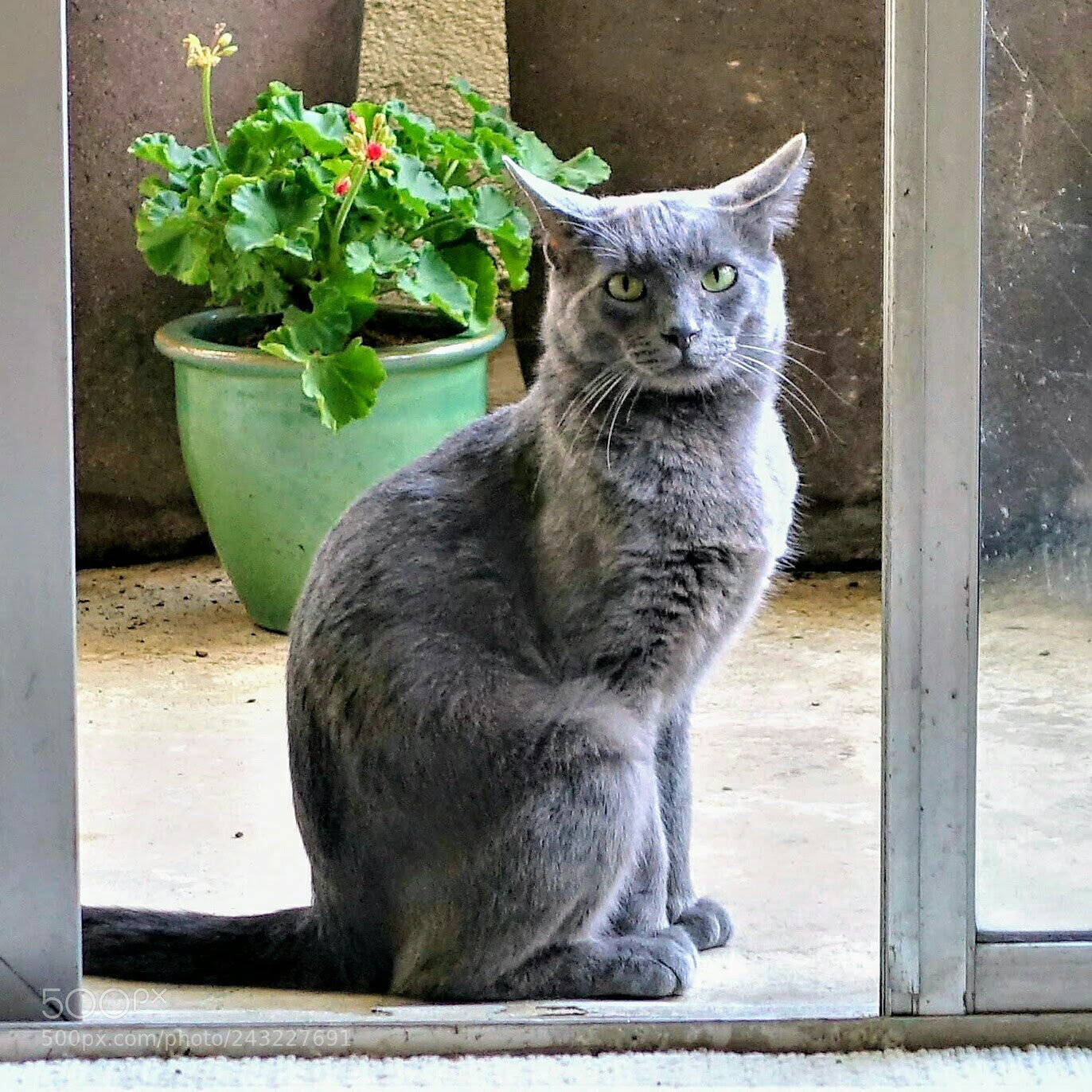 Sony Cyber-shot DSC-RX100 III sample photo. Under scrutiny photography