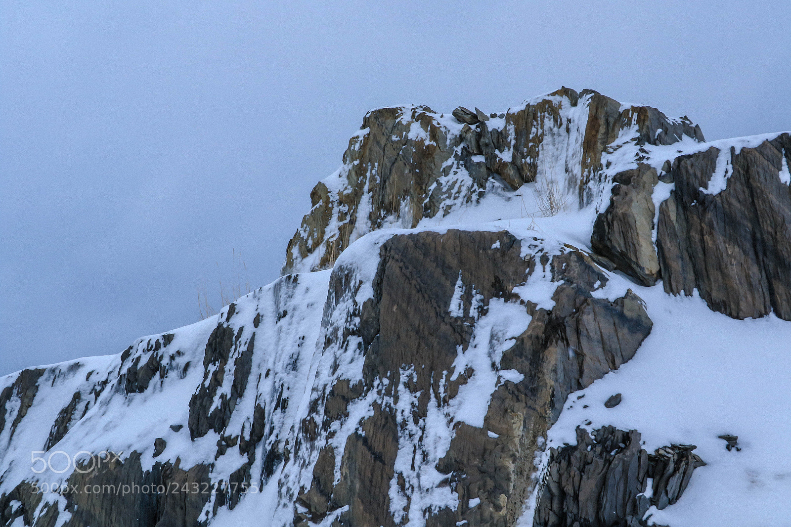 Canon EOS 7D Mark II sample photo. Solid nature photography