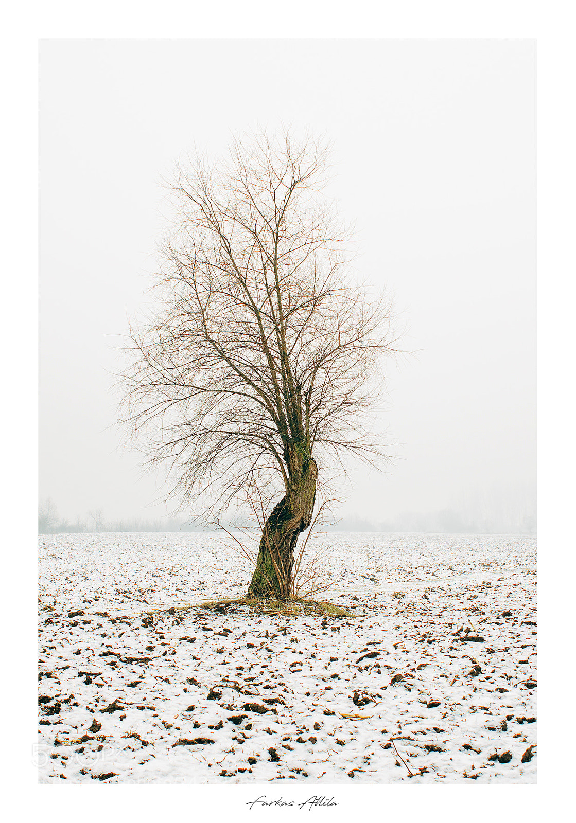 Nikon D7000 sample photo. Winter solitude... photography
