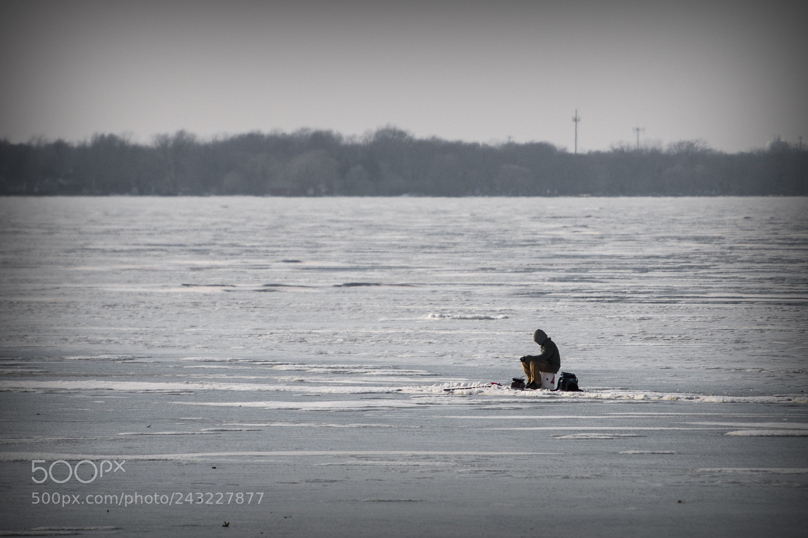 Nikon D500 sample photo. Alone on the ice photography