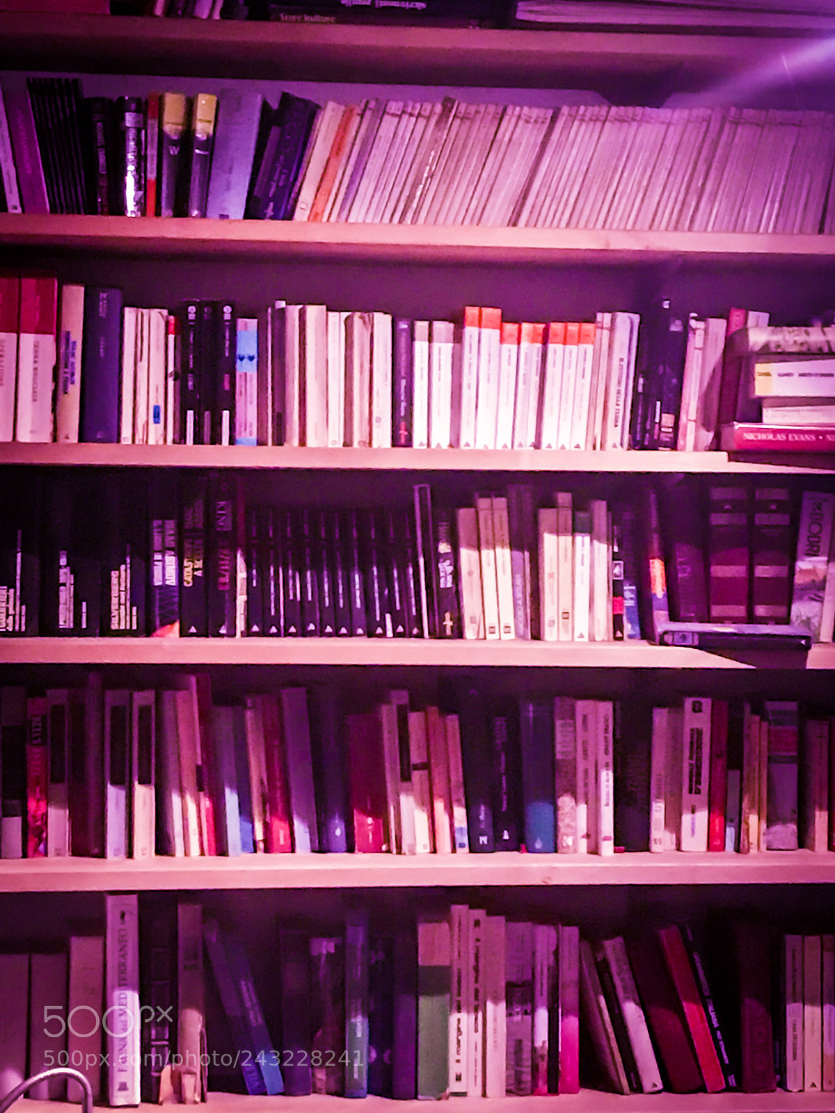 Apple iPhone 7 Plus sample photo. Violet library photography
