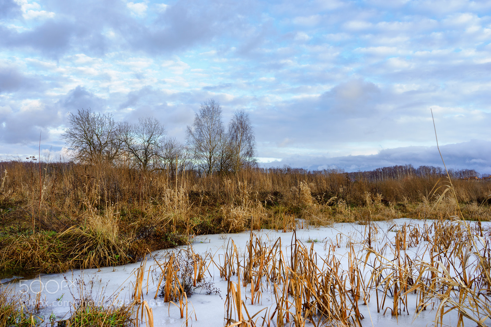 Sony a7R sample photo. Winter without snow photography