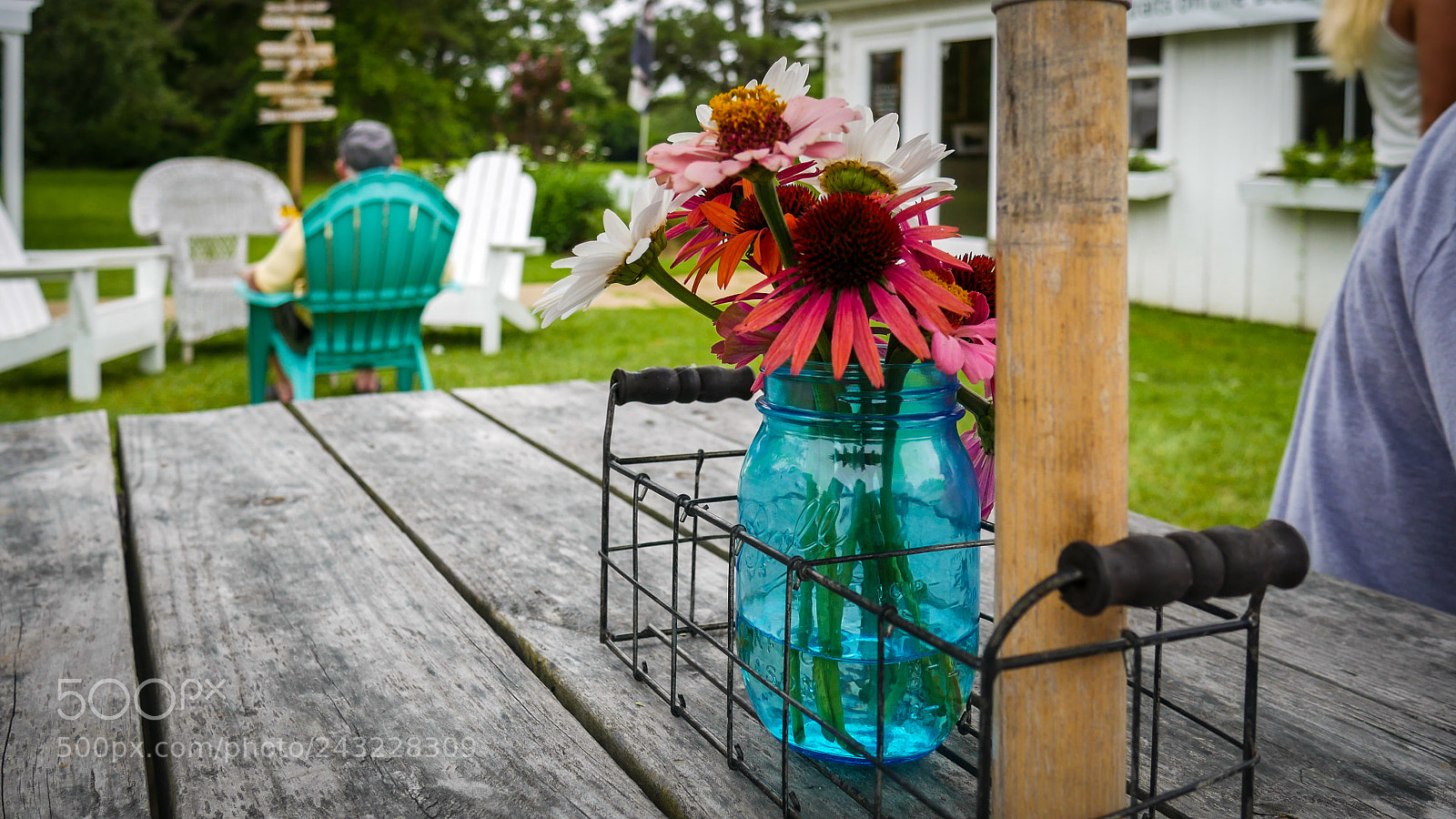 Panasonic Lumix DMC-G7 sample photo. Flowers on a picnic photography