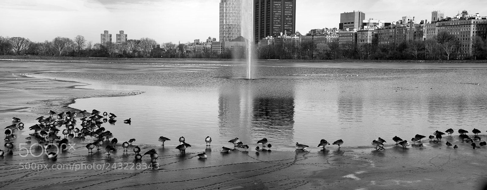 Sony a7R II sample photo. Reservoir in winter v photography