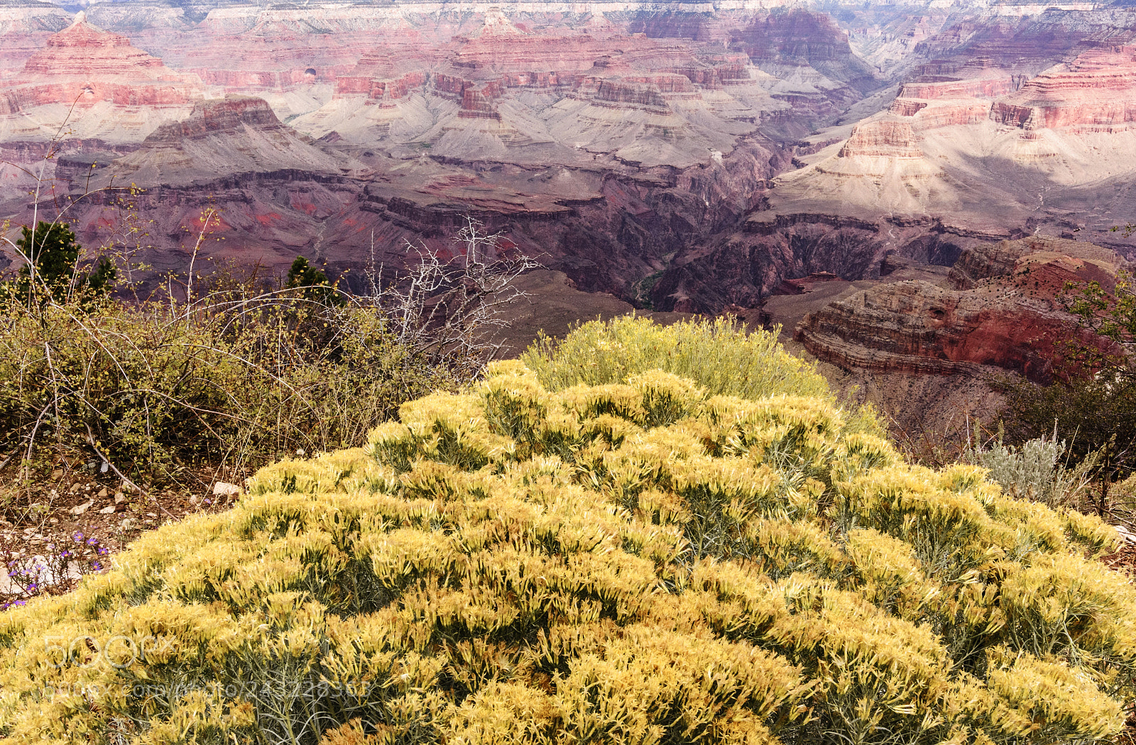Nikon D7100 sample photo. Colour palette photography