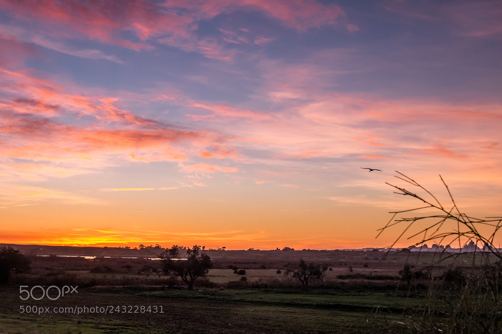 Fujifilm X-M1 sample photo. Tramonto algarvio. photography