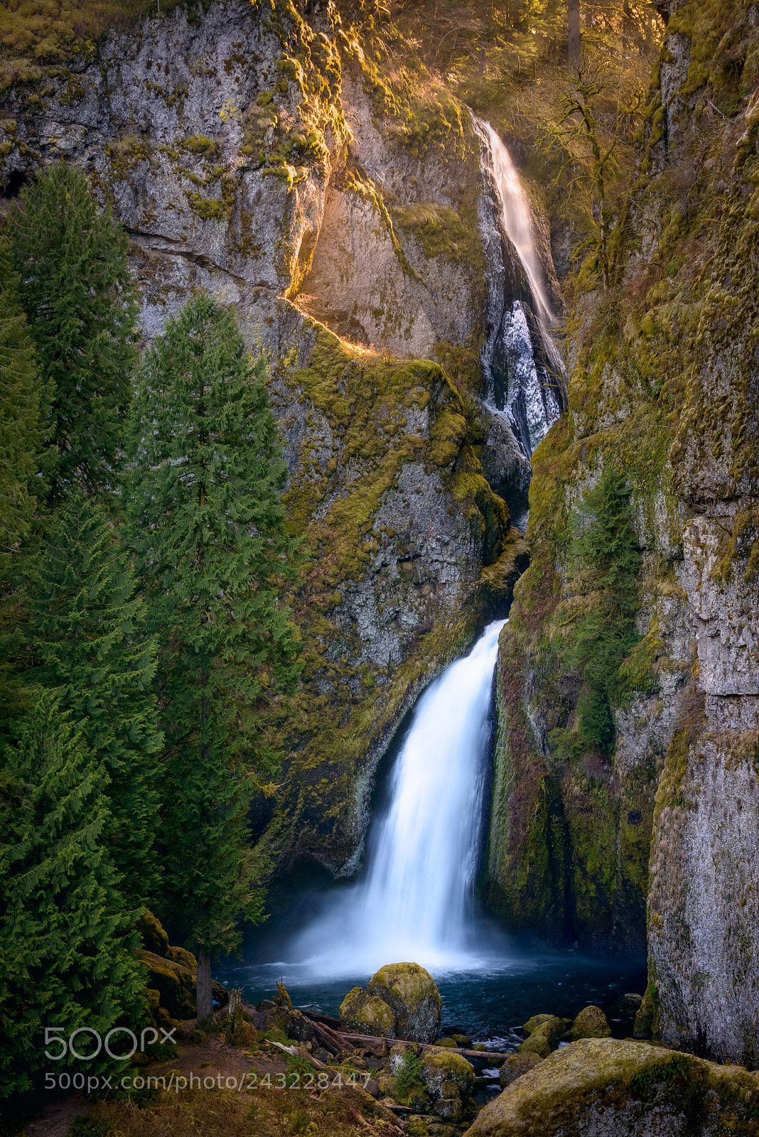 Nikon D800 sample photo. Wahclella falls, columbia river photography