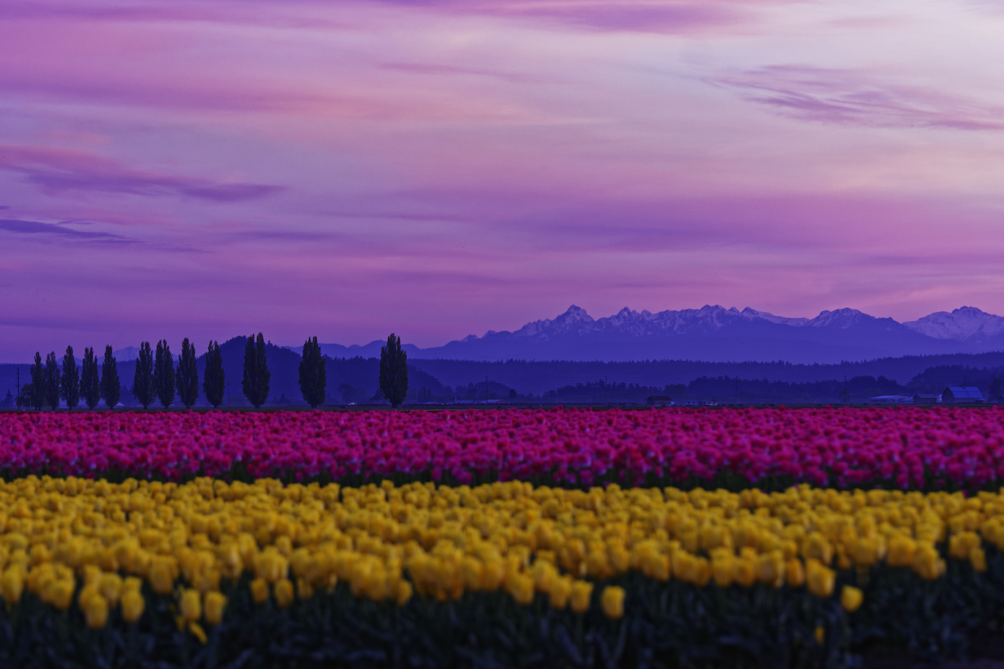 Nikon D7200 sample photo. Skagit valley sunset photography