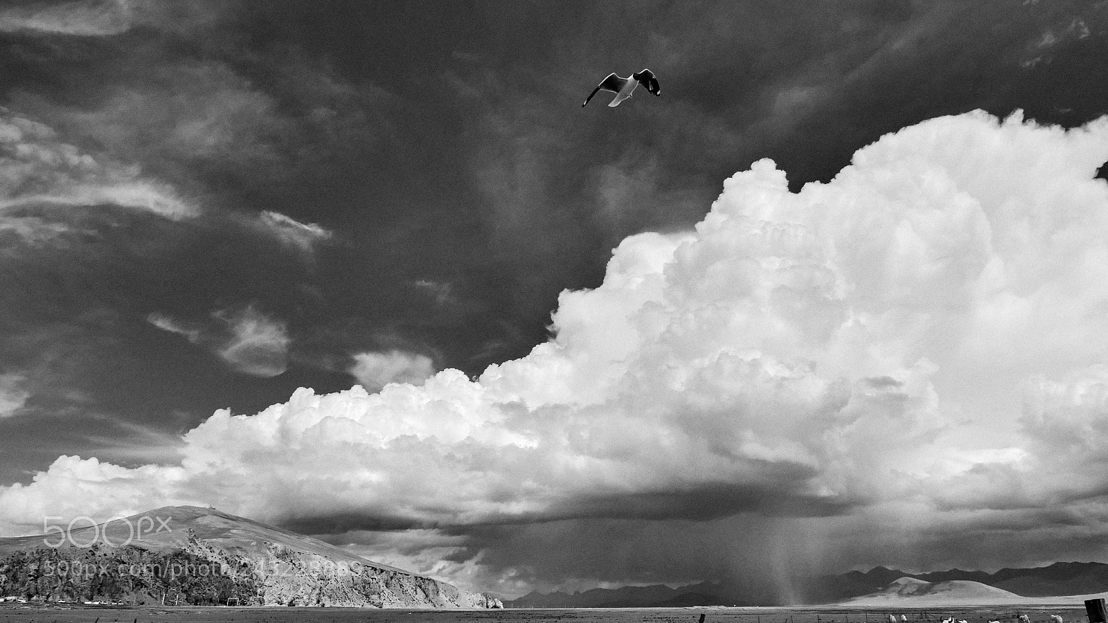Panasonic Lumix DMC-GX85 (Lumix DMC-GX80 / Lumix DMC-GX7 Mark II) sample photo. Fly upon the cloud photography