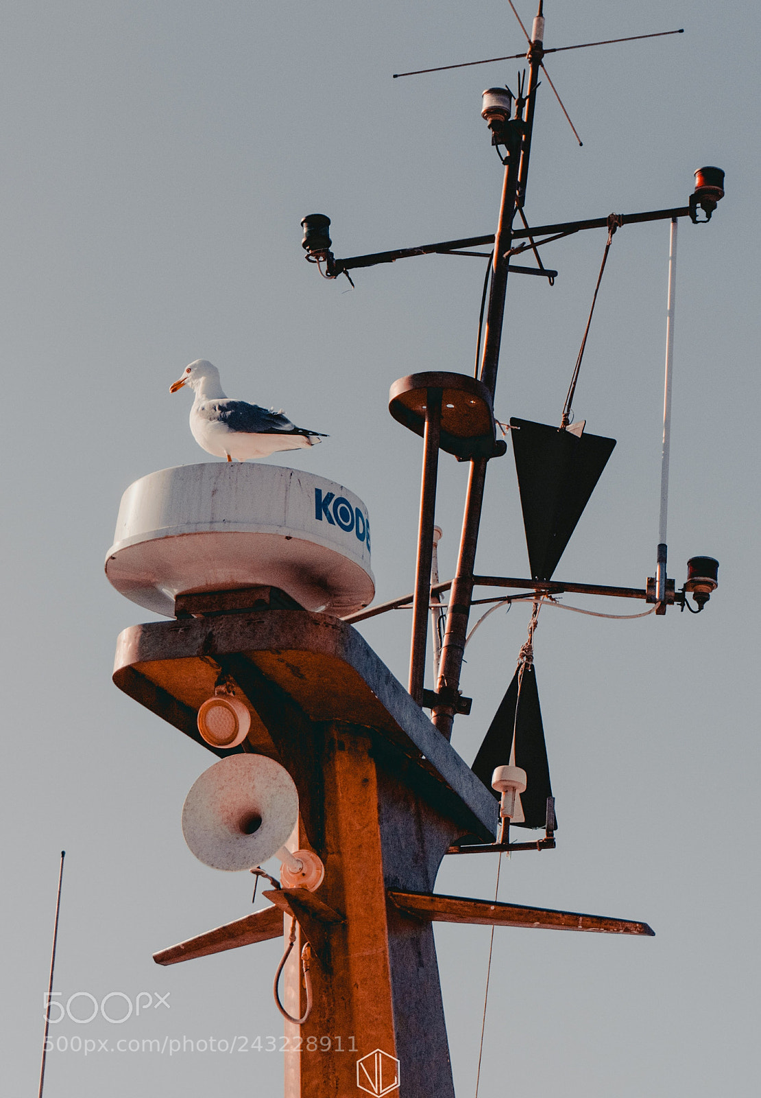 Sony a6300 sample photo. Untitled photography