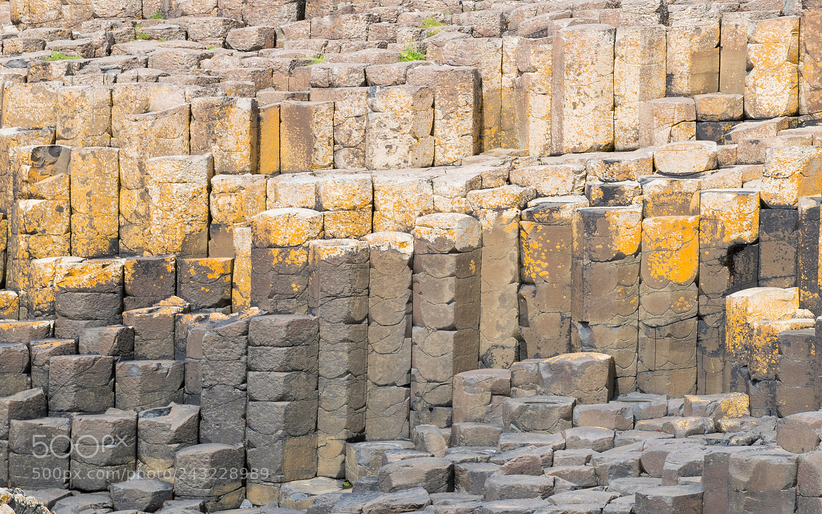 Nikon D5500 sample photo. Pillars photography