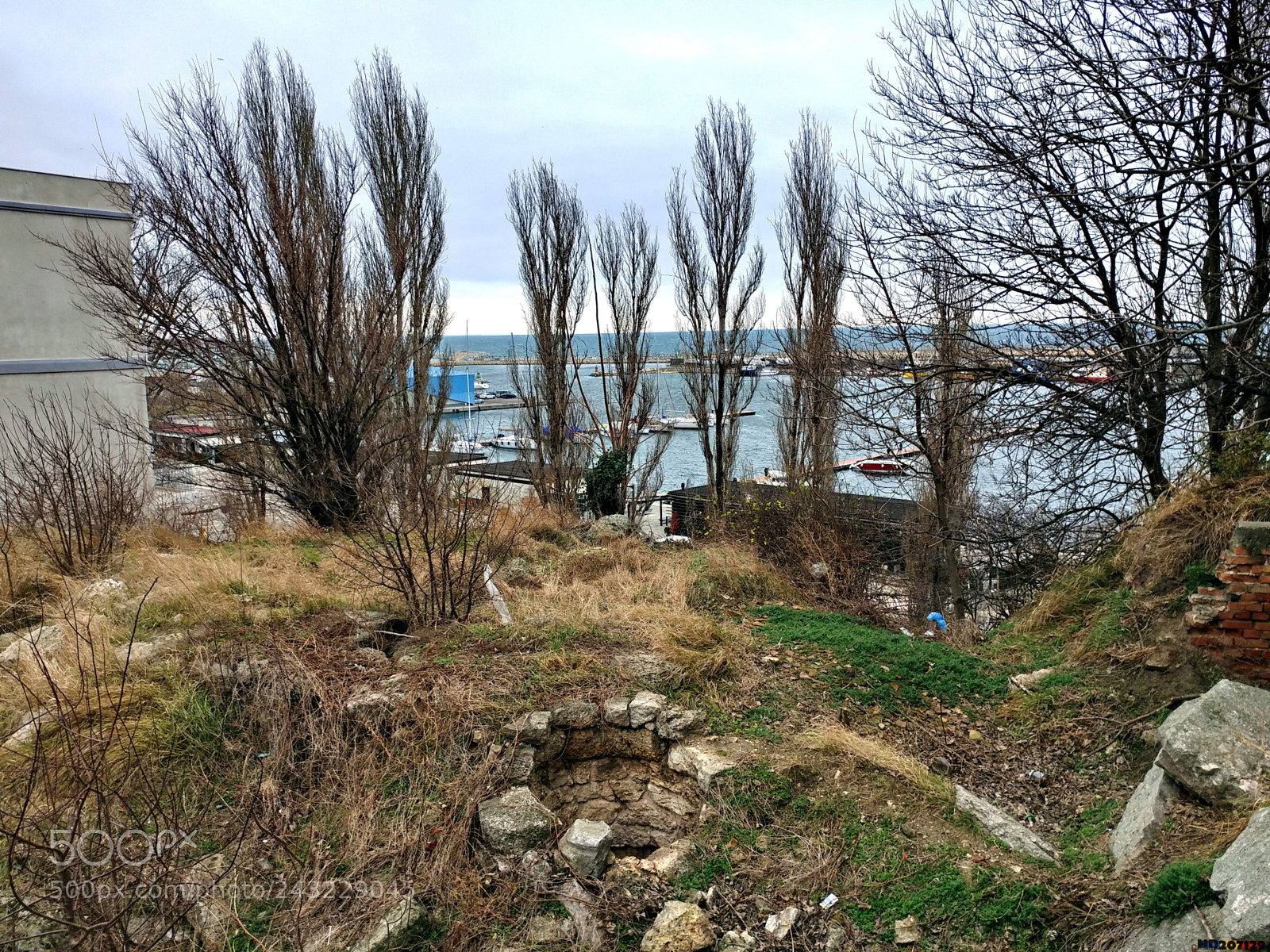 LG V20 sample photo. Constanta photography