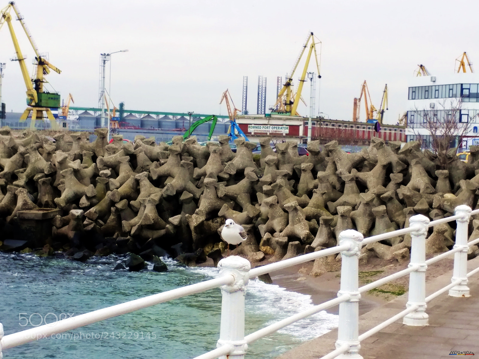 LG V20 sample photo. Constanta photography