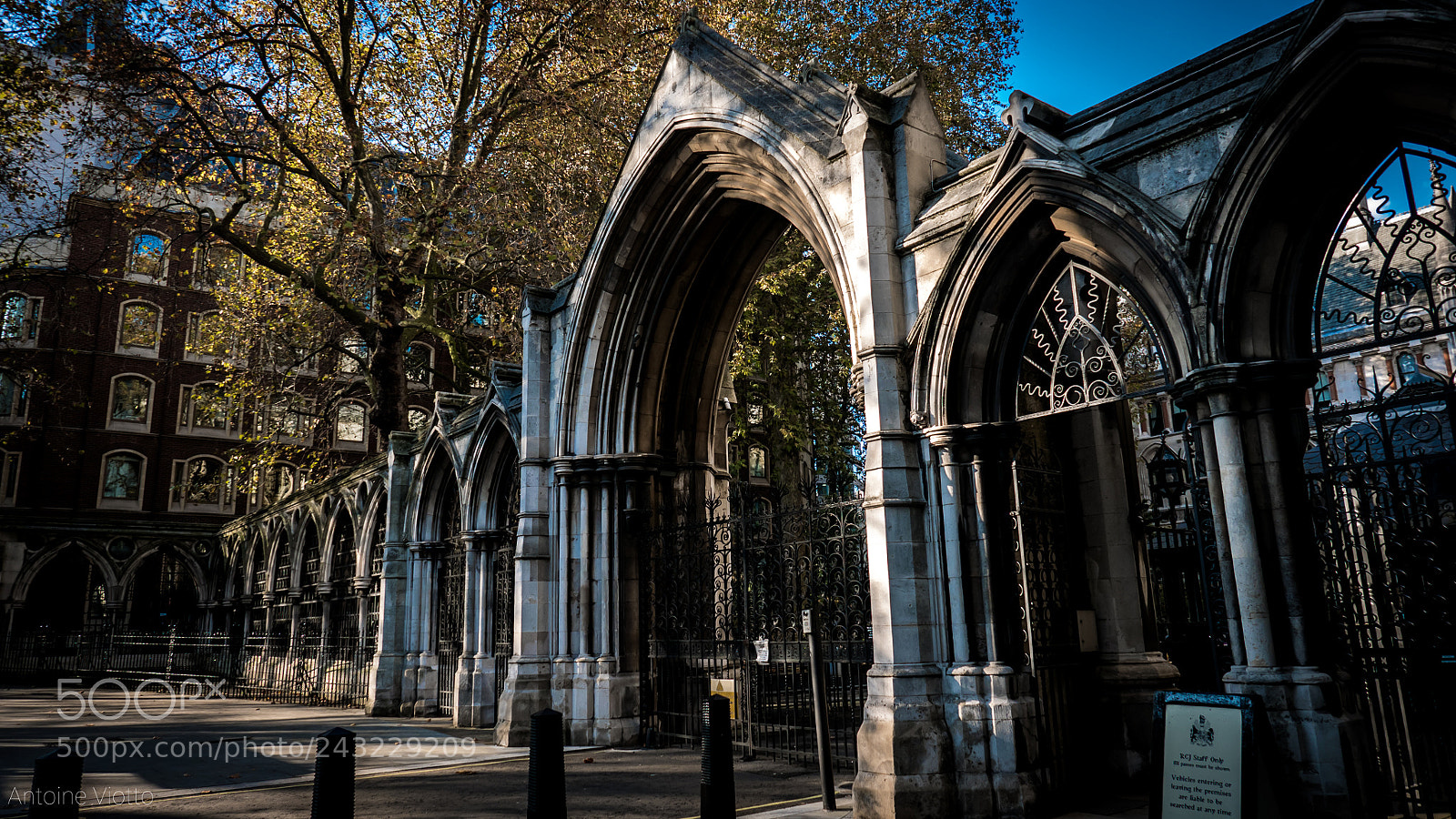 Leica D-Lux (Typ 109) sample photo. London november 2016 photography