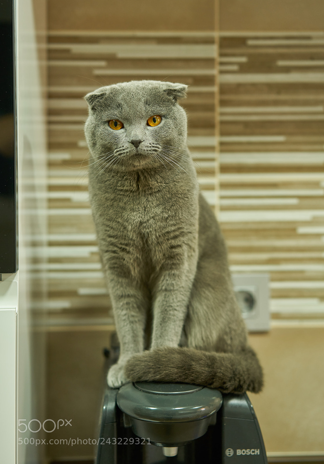 Sony a7R II sample photo. Bartolito photography
