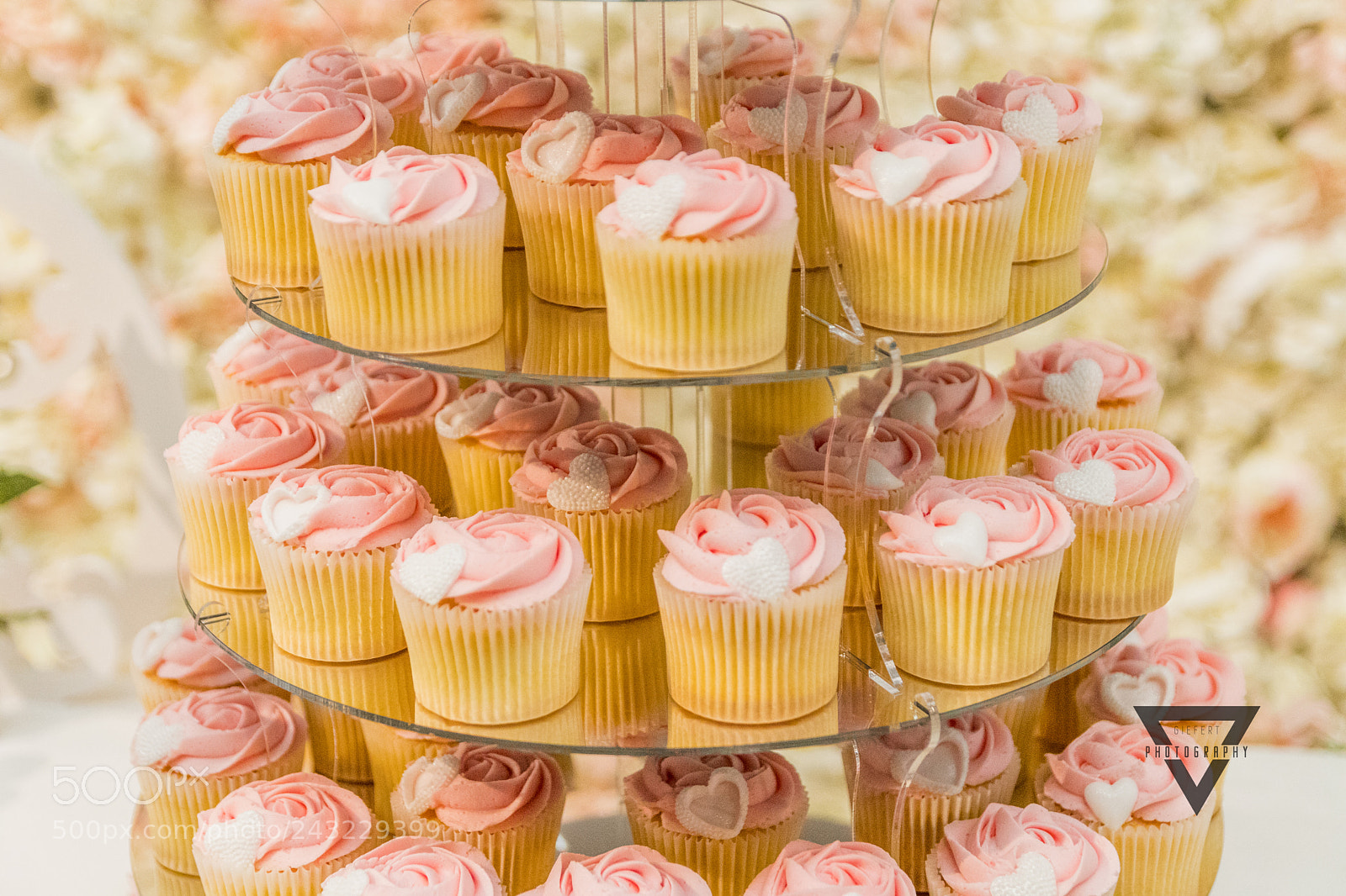 Canon EOS 77D (EOS 9000D / EOS 770D) sample photo. Muffins photography