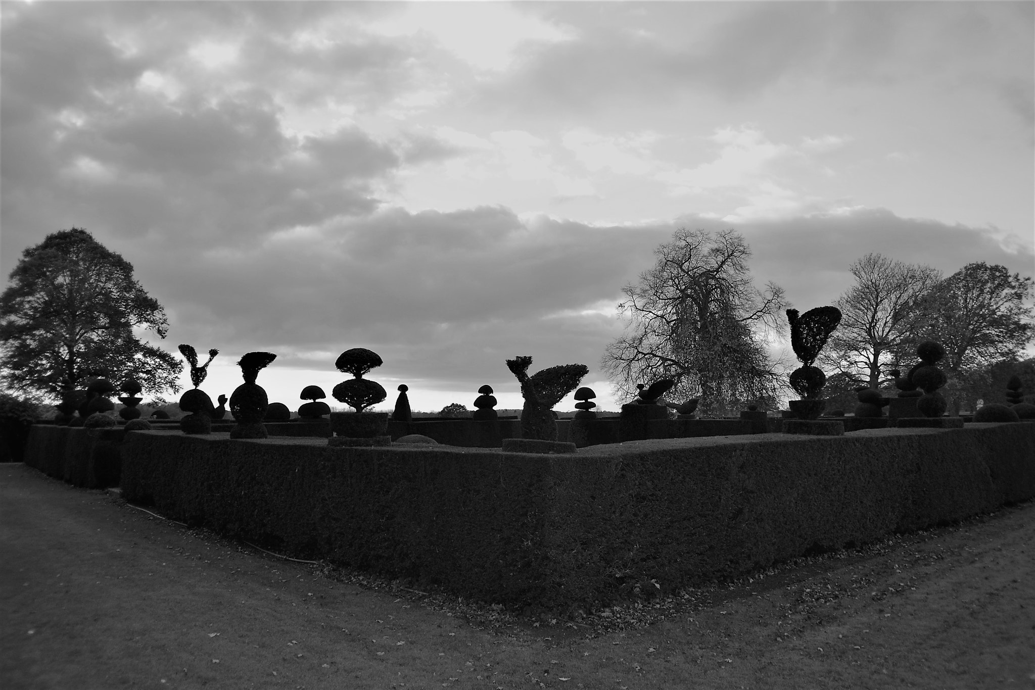 Nikon D3100 sample photo. Horticultural manoeuvres in the dark photography