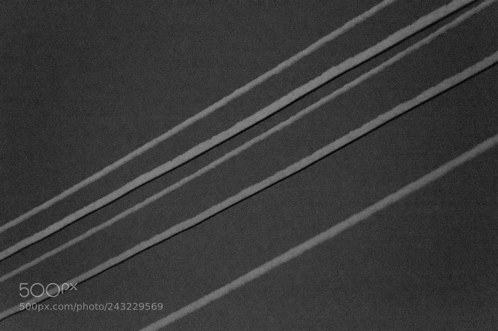 Nikon D3200 sample photo. Снег на проводах photography