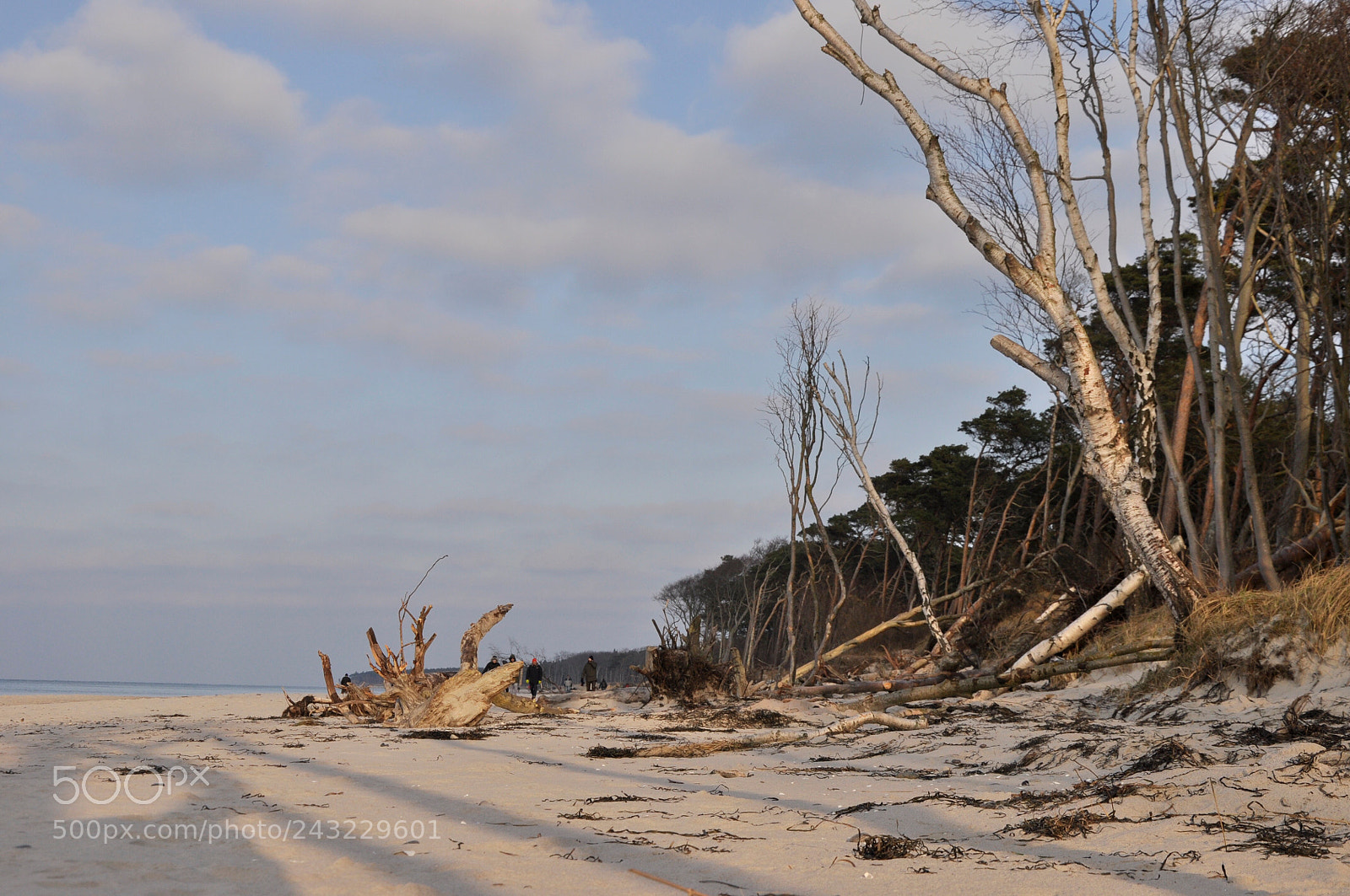 Nikon D5000 sample photo. Beach - peninsula fischland-dar photography