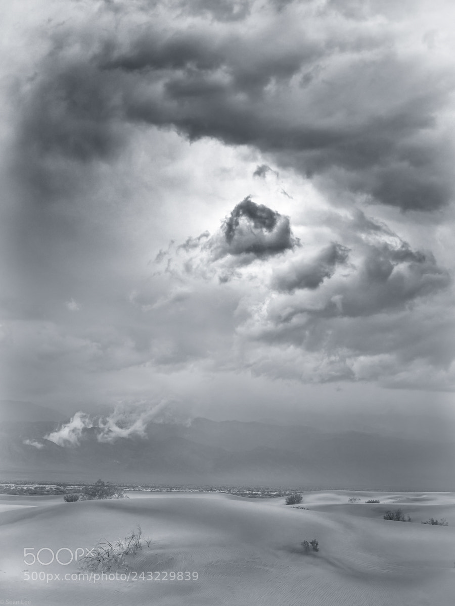 Olympus OM-D E-M10 sample photo. The seed of storm photography