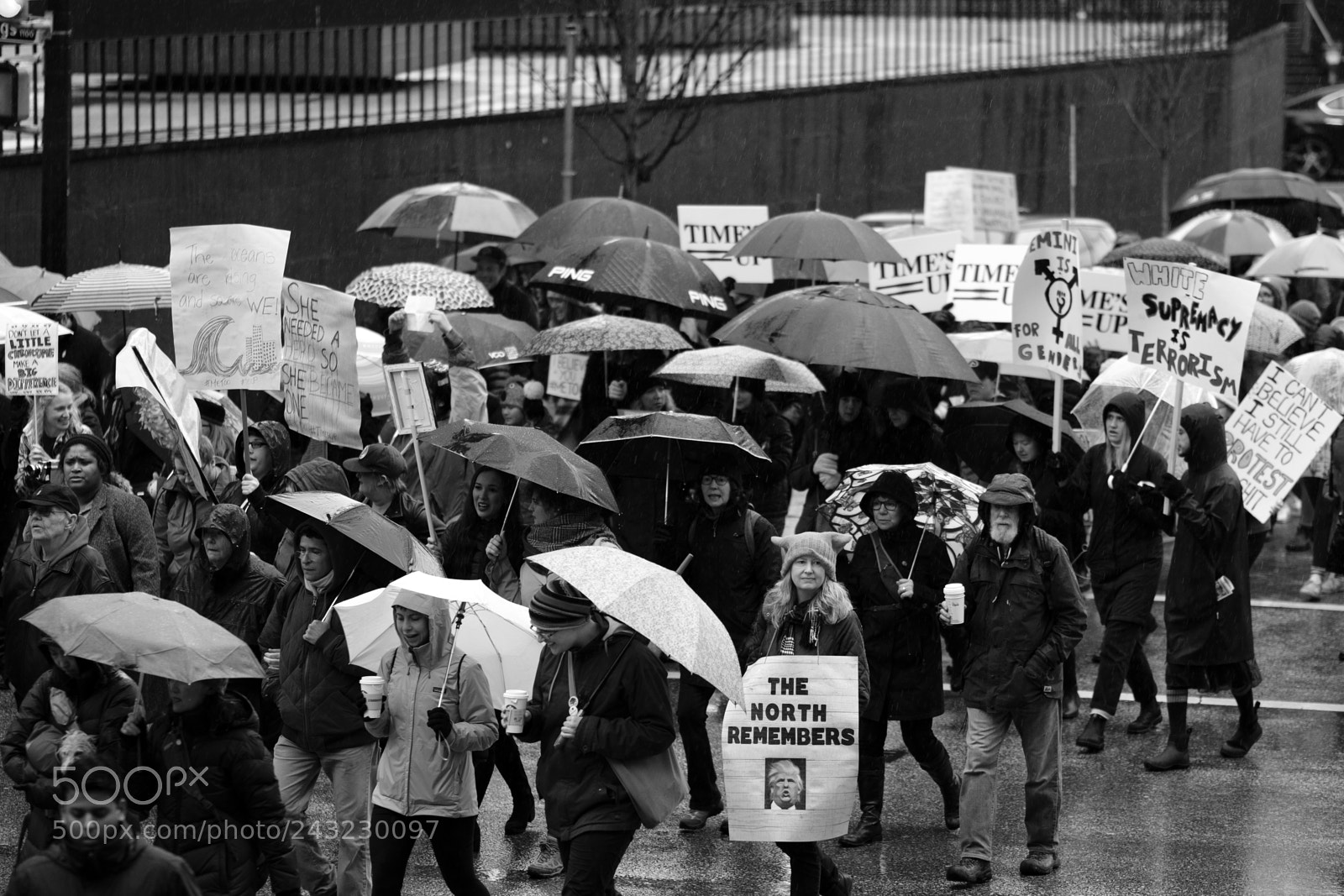 Fujifilm X-Pro2 sample photo. Vancouver women's march 2018 photography