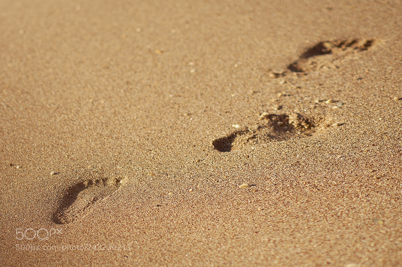 Nikon D700 sample photo. Footprint or trace in photography