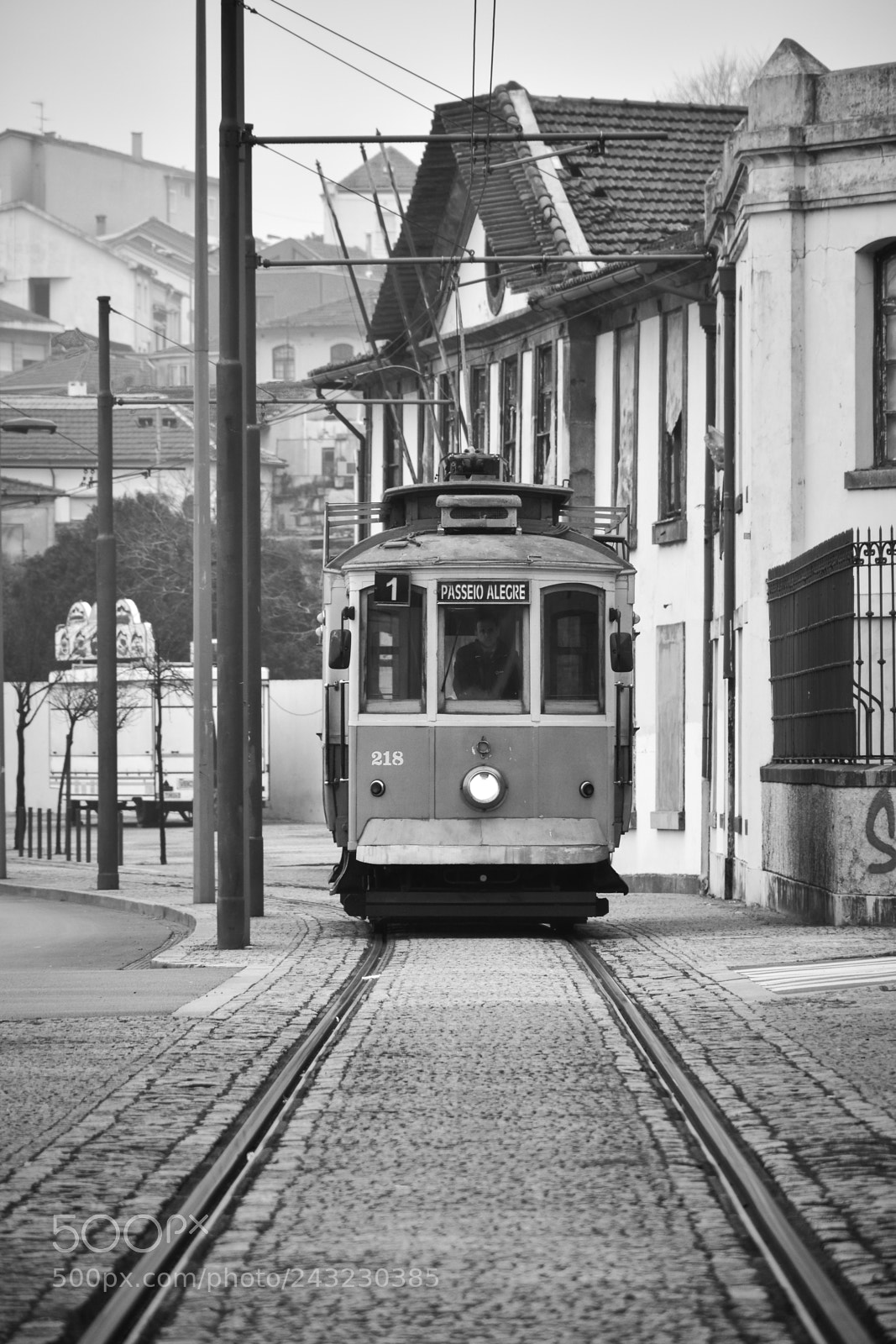 Nikon D5600 sample photo. Porto tram photography
