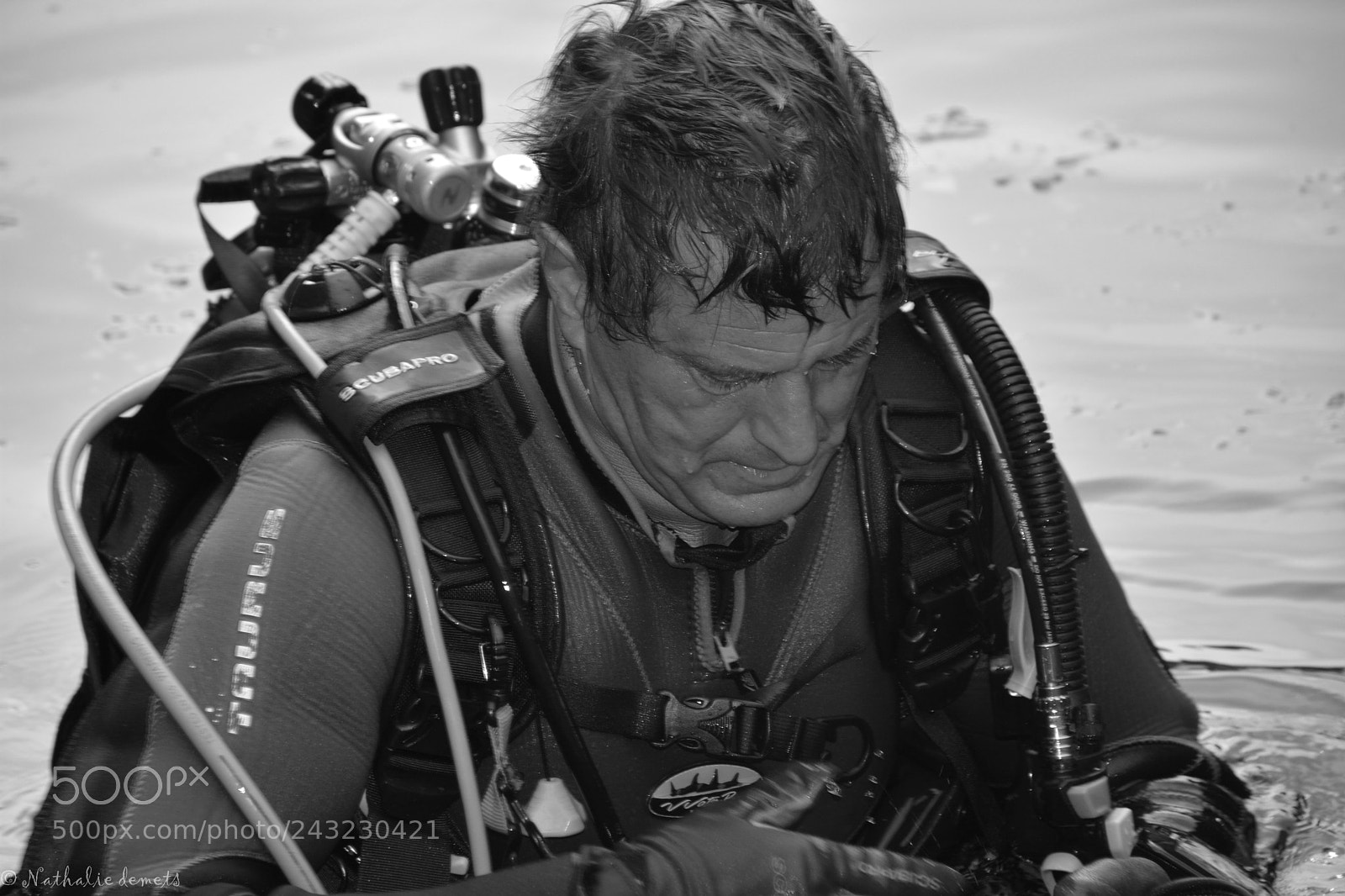 Nikon D7100 sample photo. Diver........ photography