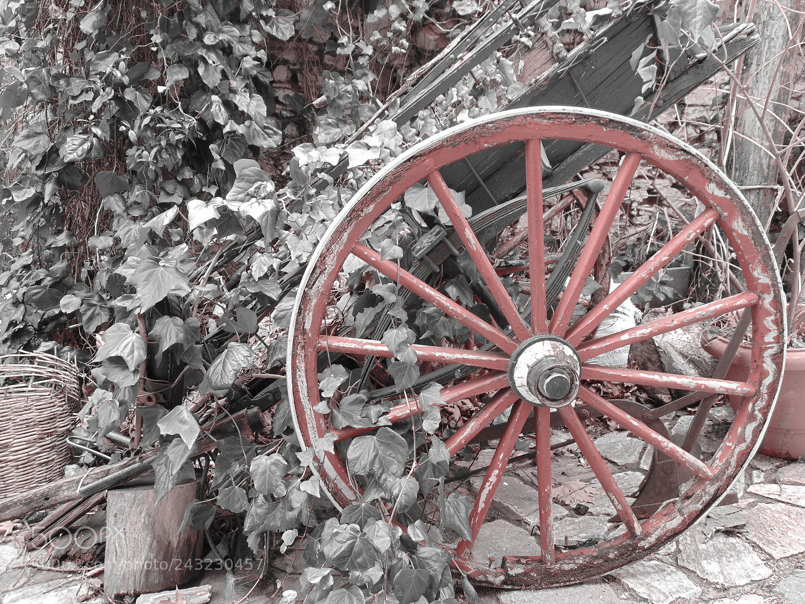 Sony Cyber-shot DSC-H300 sample photo. Old horse cart abandoned photography