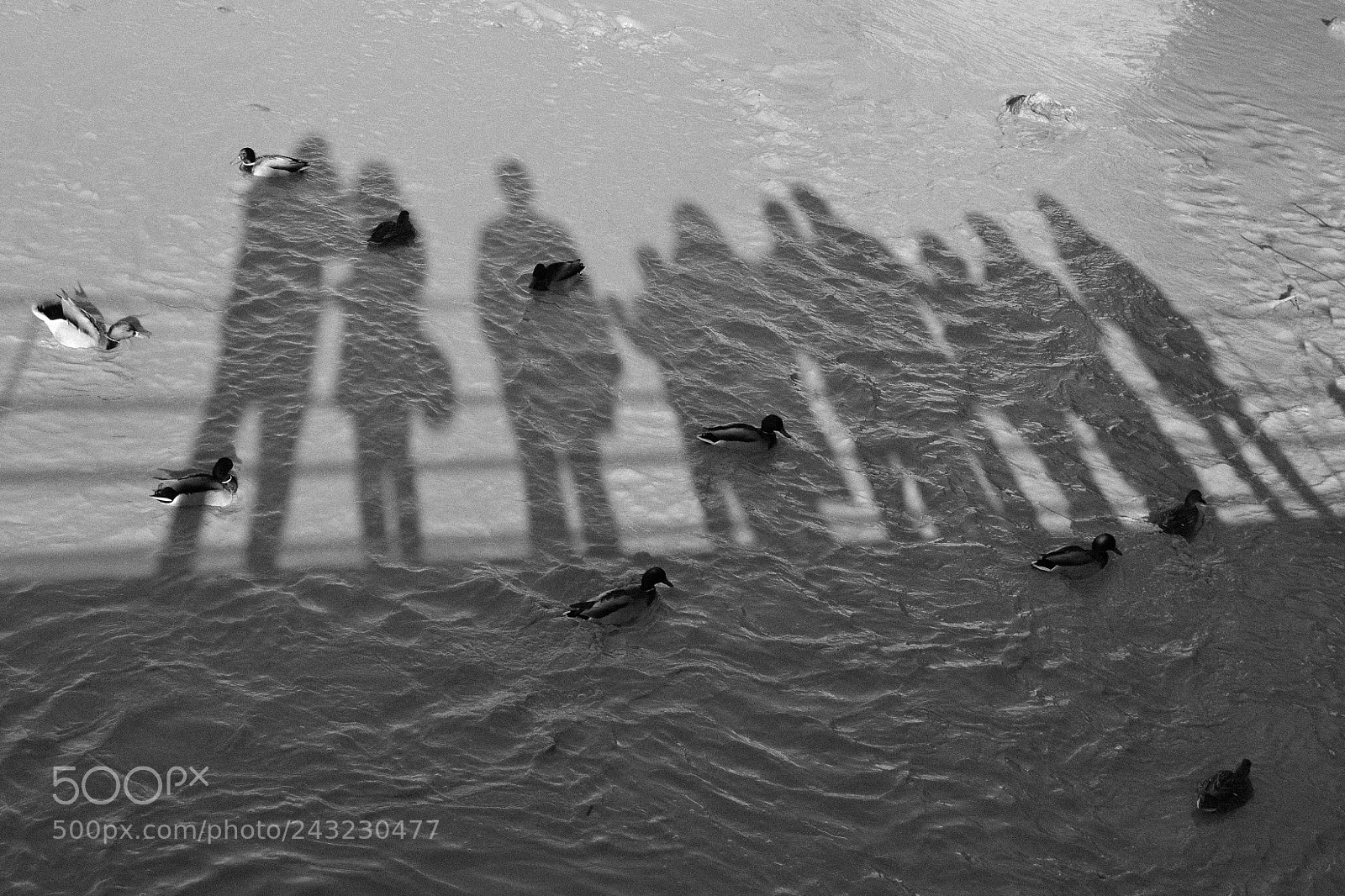 Nikon D3100 sample photo. Untitled photography