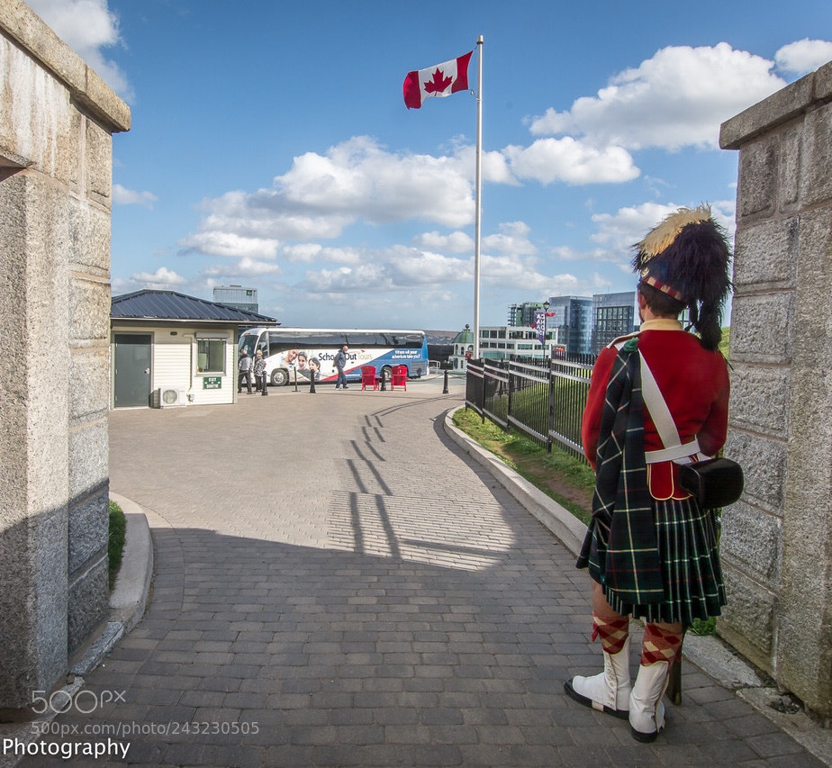 Nikon D7100 sample photo. Standing on guard at photography