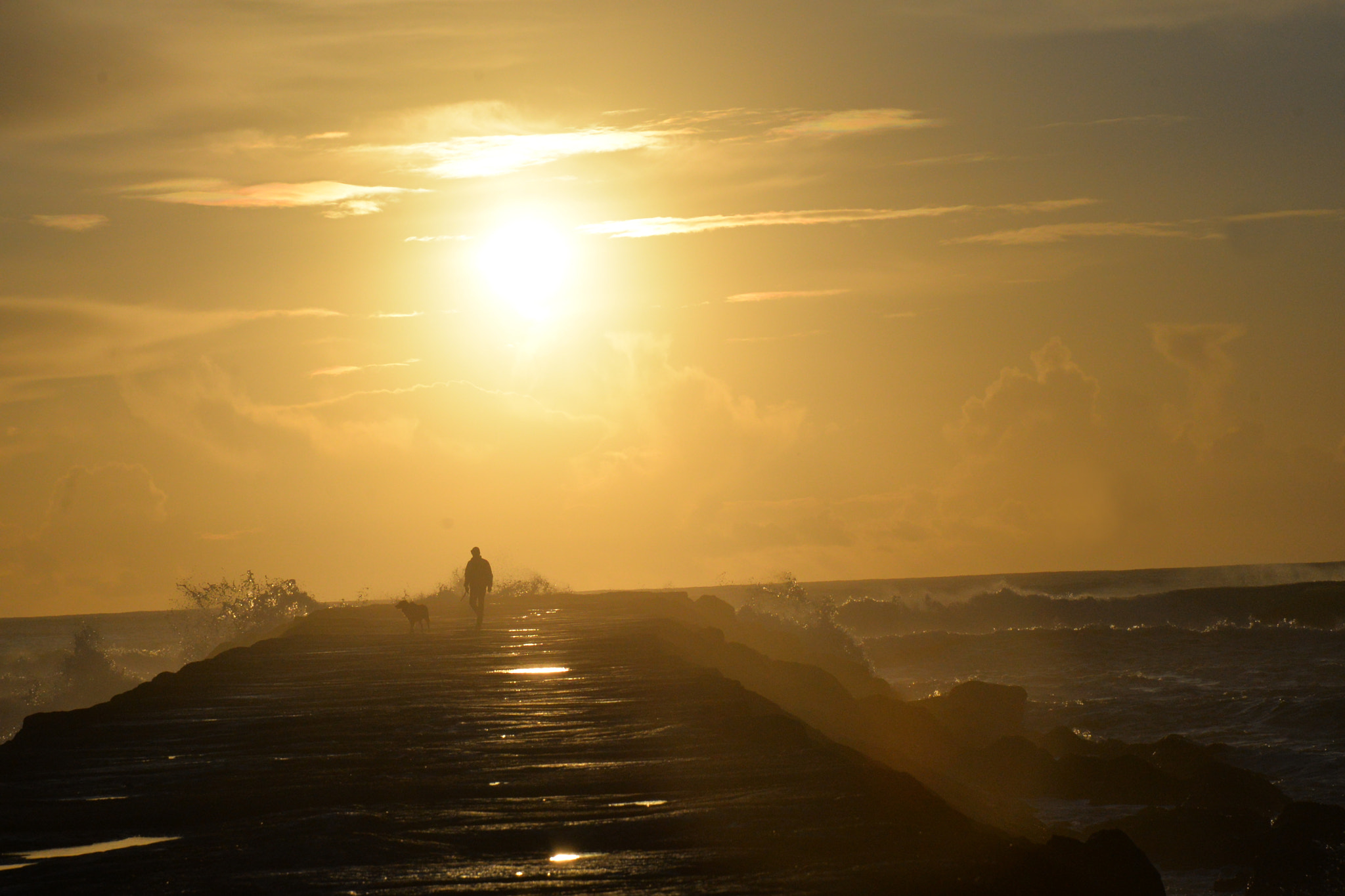 Nikon D610 sample photo. O passeio da tarde photography