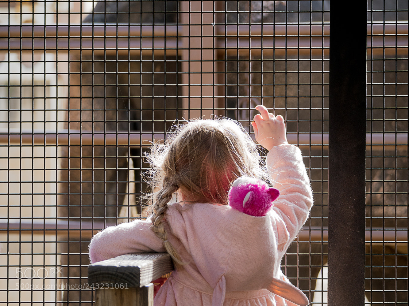 Olympus PEN-F sample photo. Girl sees elephant at photography
