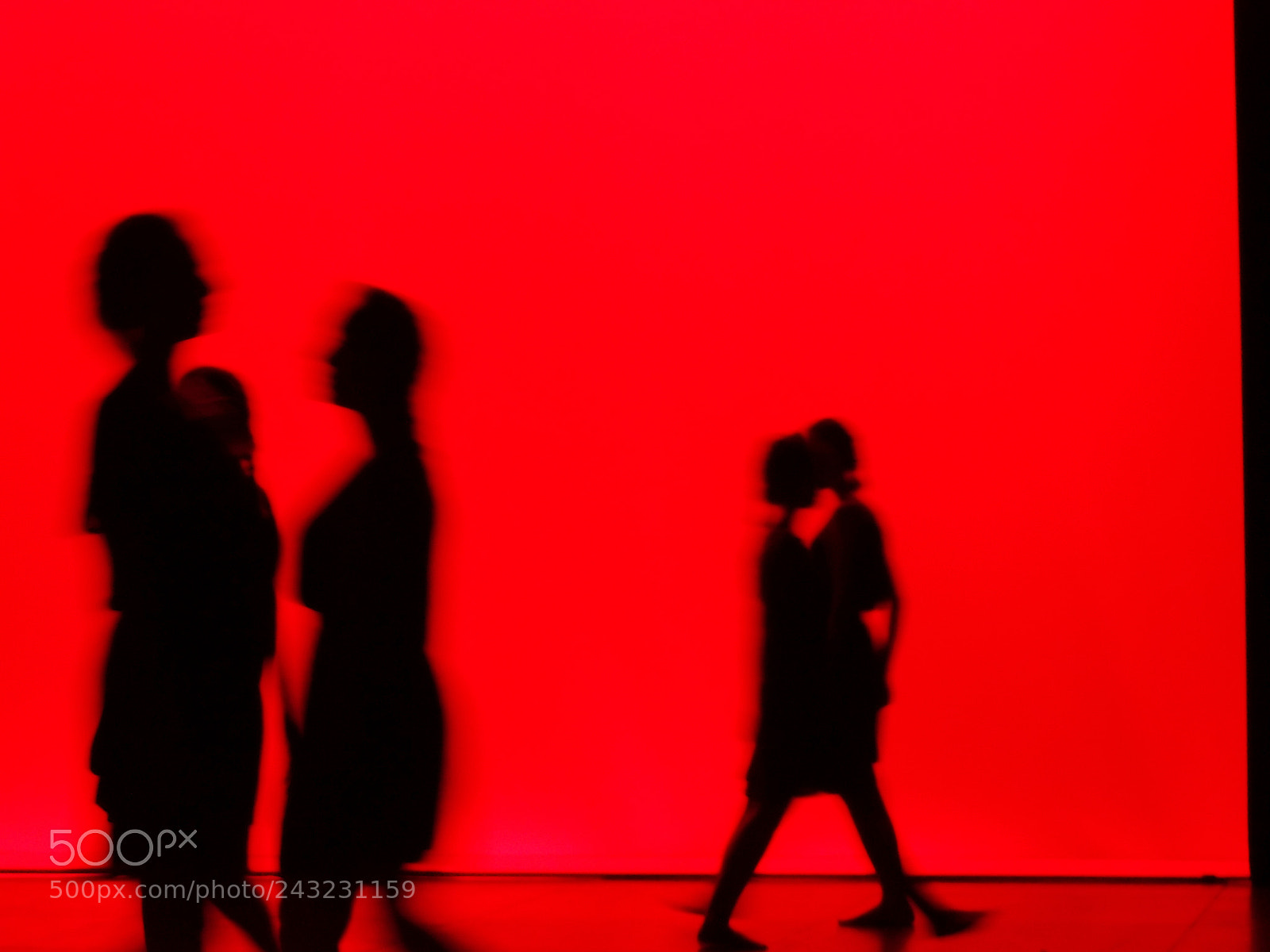 Nikon Coolpix P510 sample photo. Dancing shadows photography