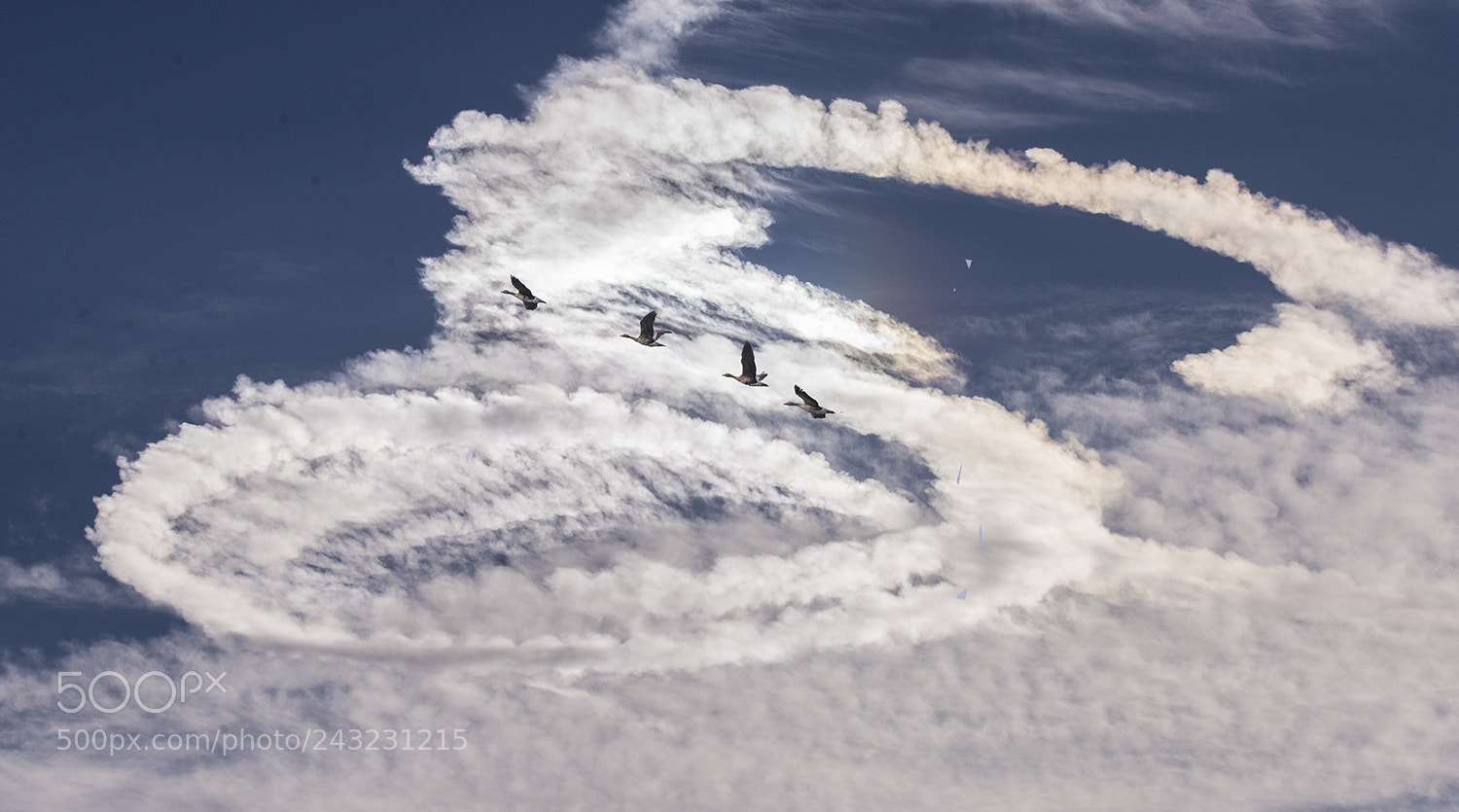 Nikon D610 sample photo. Phenomenon photography