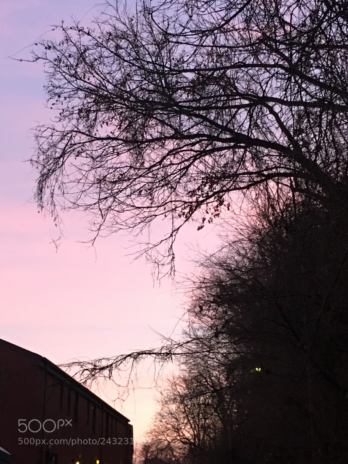 Apple iPhone 6s sample photo. Untitled photography