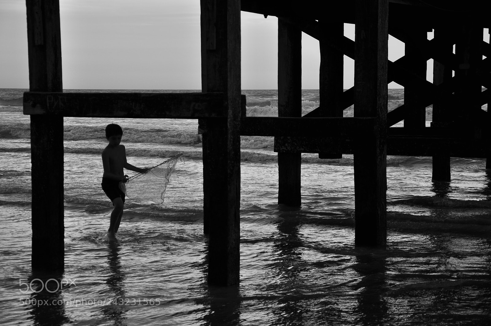 Nikon D90 sample photo. Untitled photography