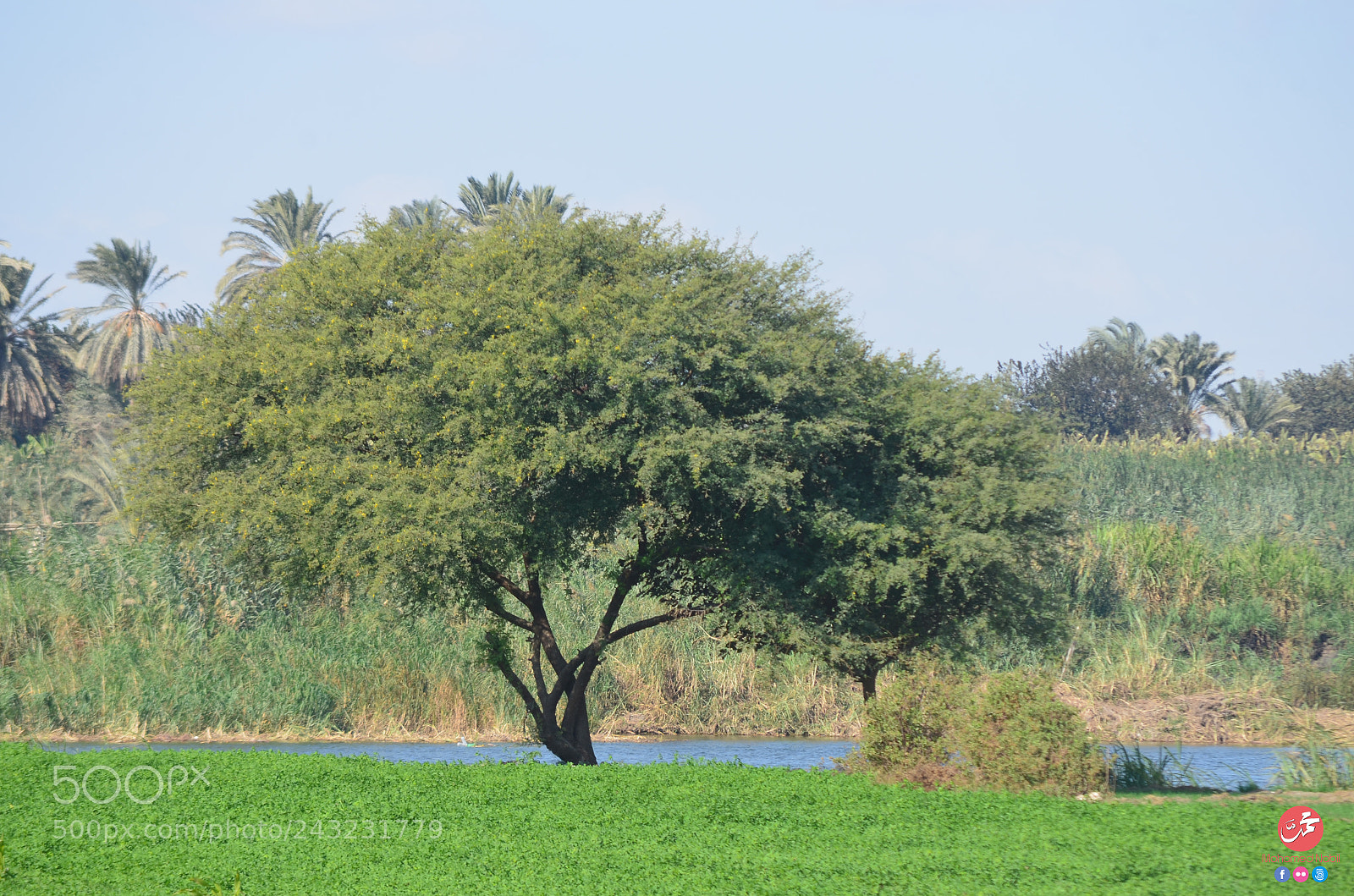 Nikon D5100 sample photo. Green countryside photography