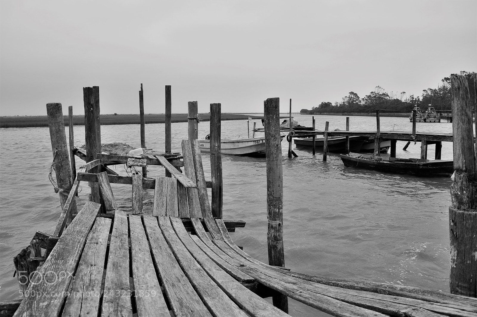 Nikon D90 sample photo. Untitled photography