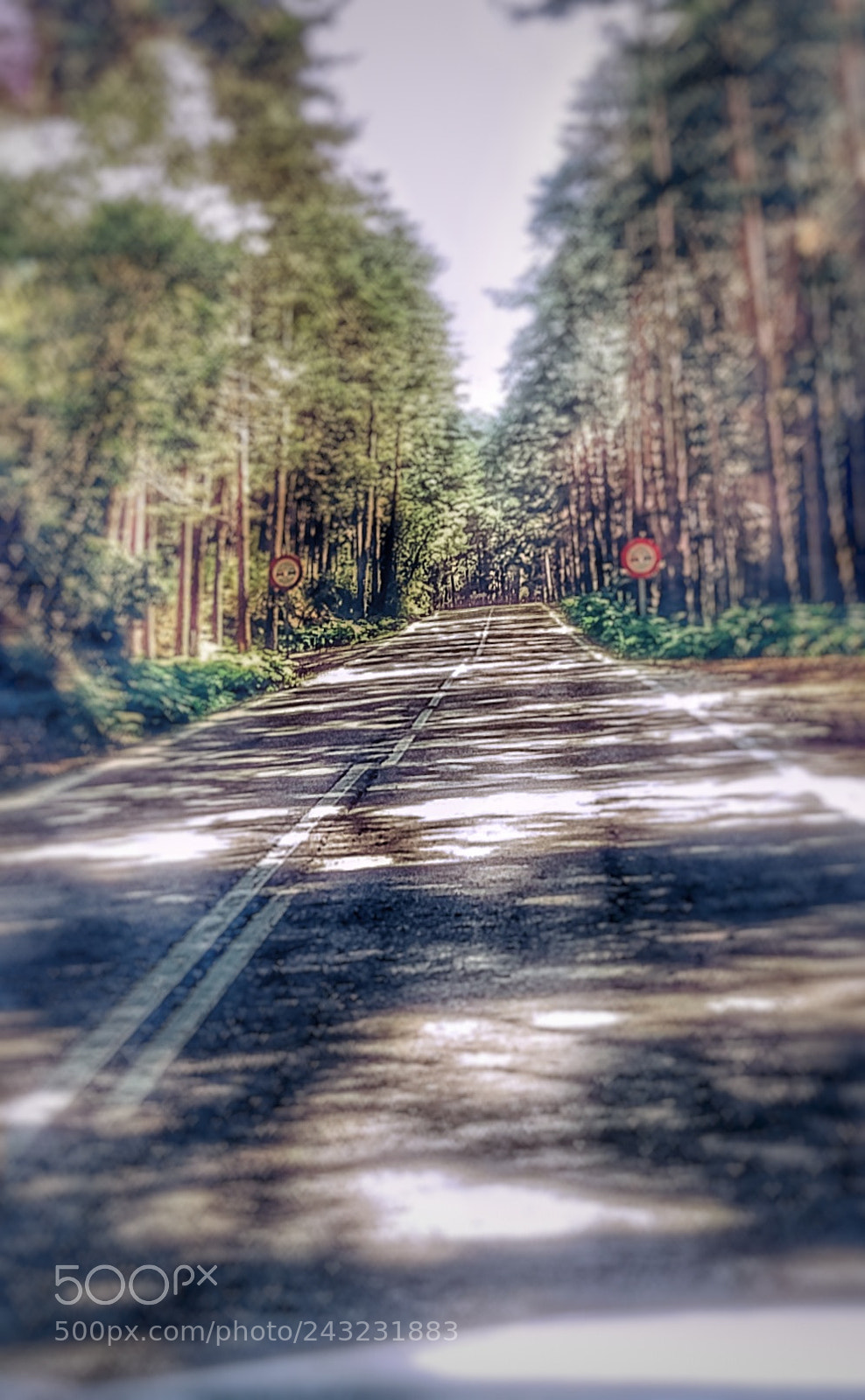 Samsung Galaxy J5(2016) sample photo. Untitled photography
