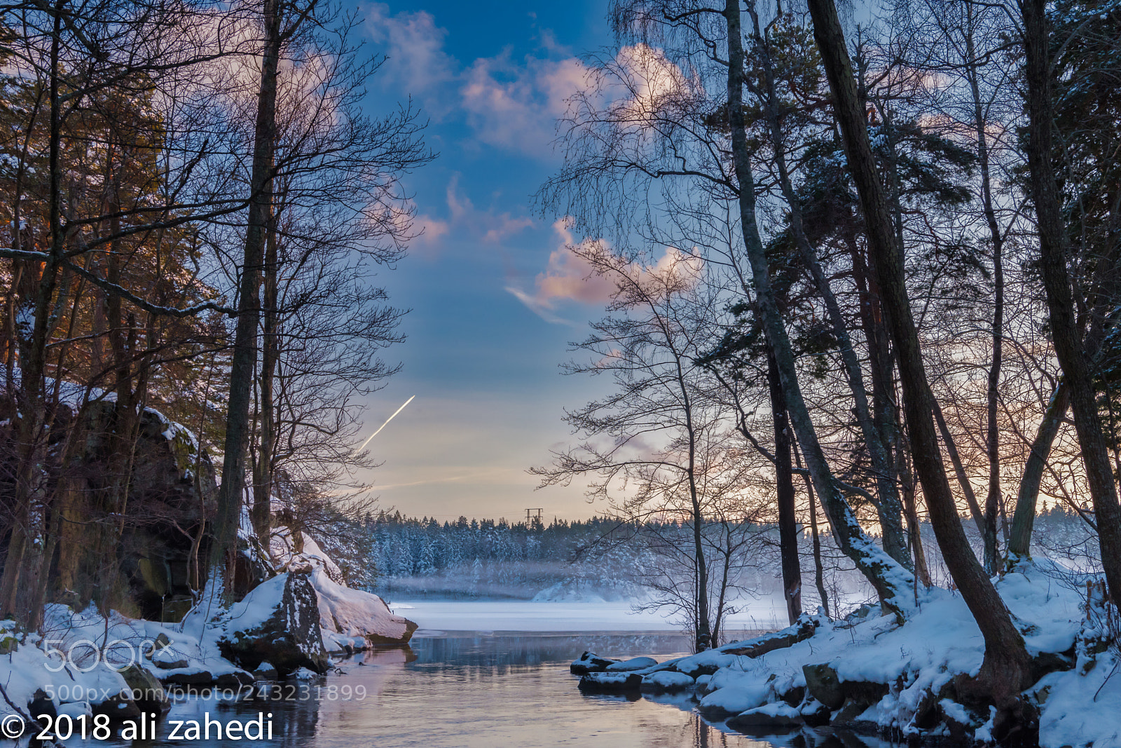 Nikon D810 sample photo. Winter photography