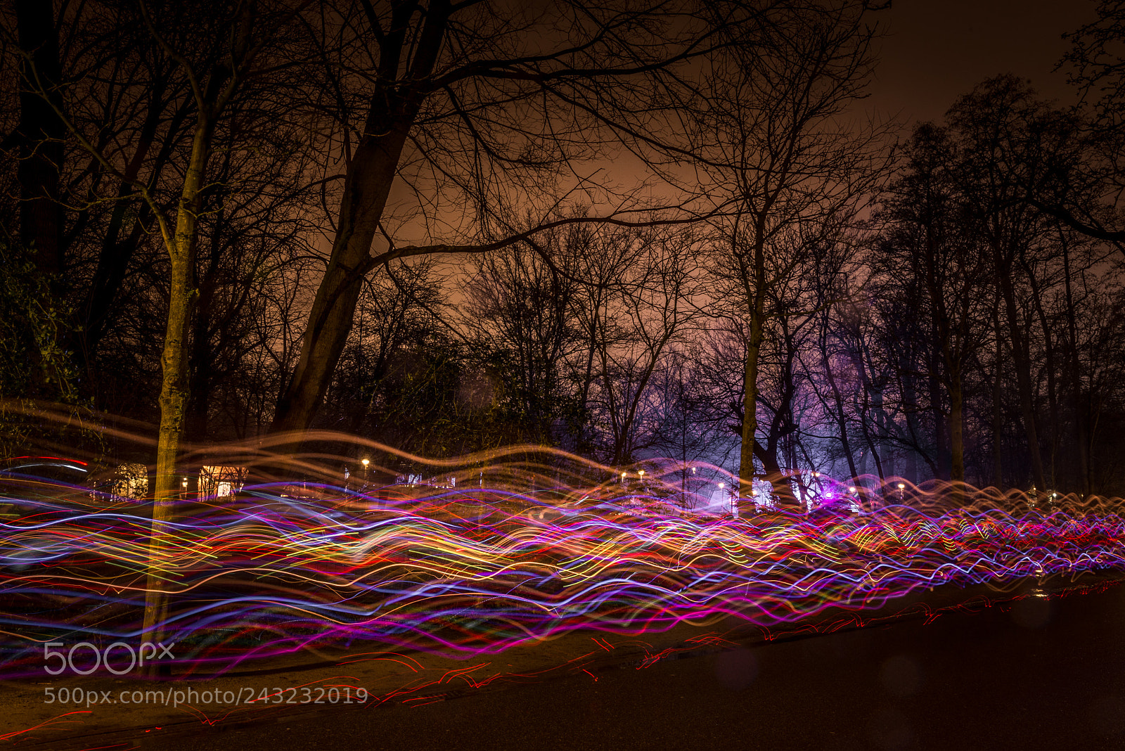 Nikon D610 sample photo. Light the night photography