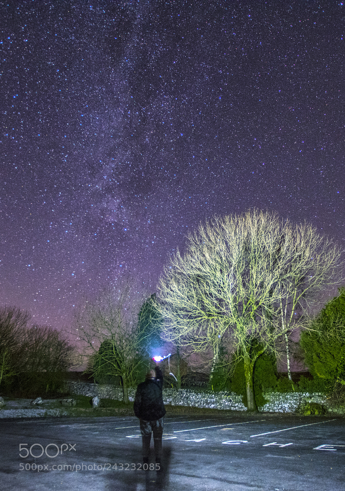 Nikon D5600 sample photo. Milky way photography