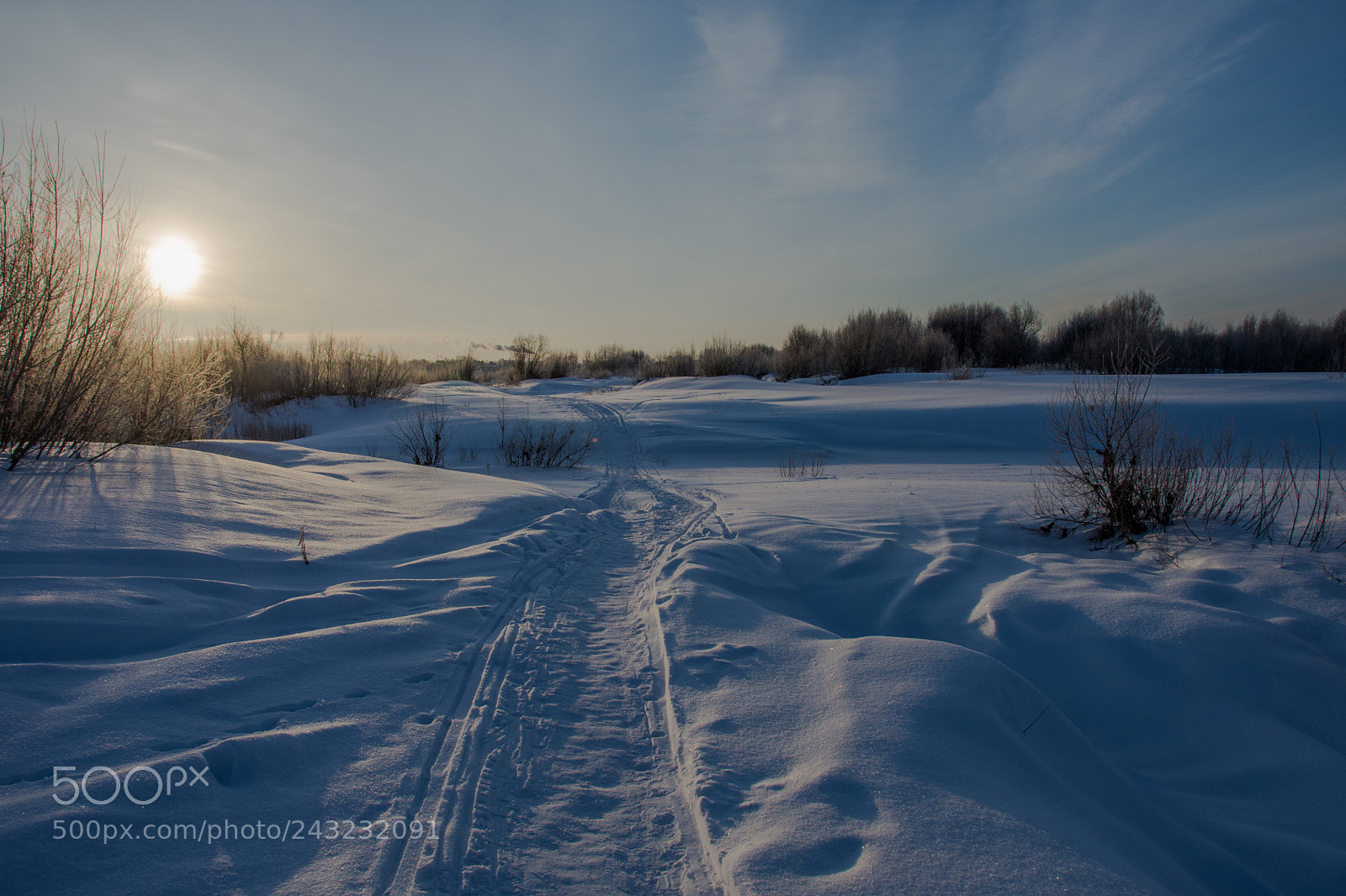 Nikon D7200 sample photo. Sunny day. photography