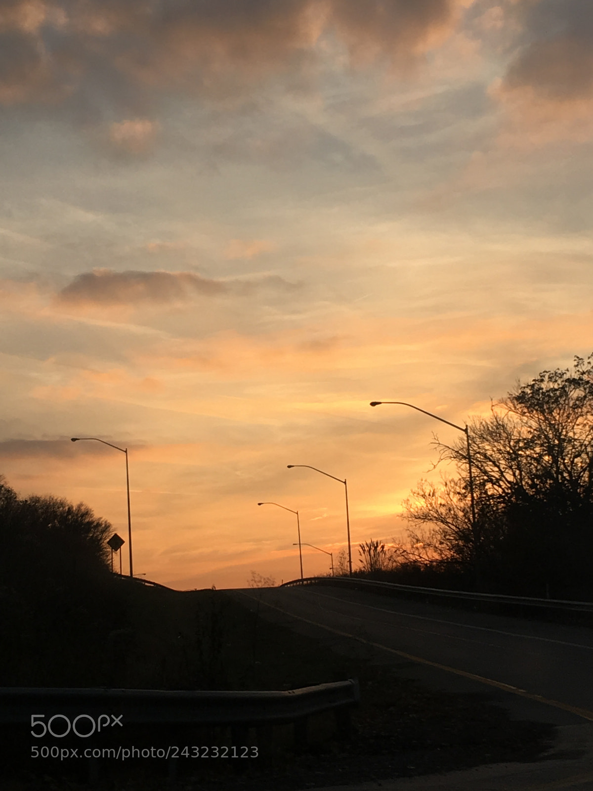 Apple iPhone 6s sample photo. Untitled photography