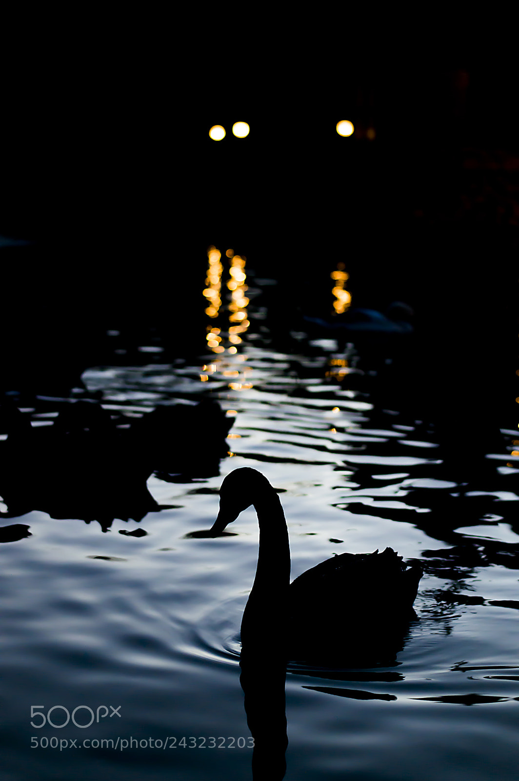 Nikon D3200 sample photo. Peaceful.. photography