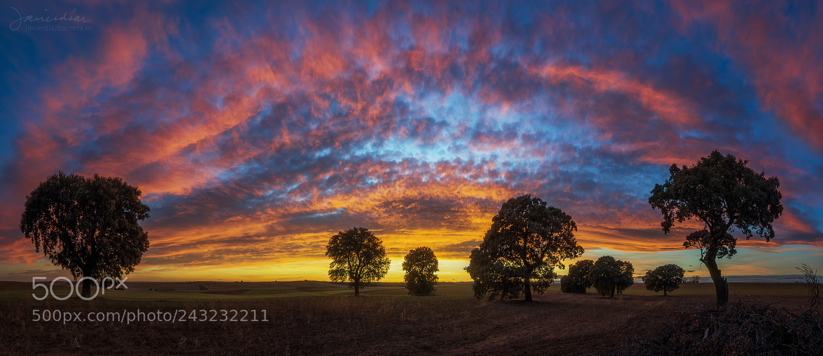 Sony SLT-A99V sample photo. Fire in the sky photography