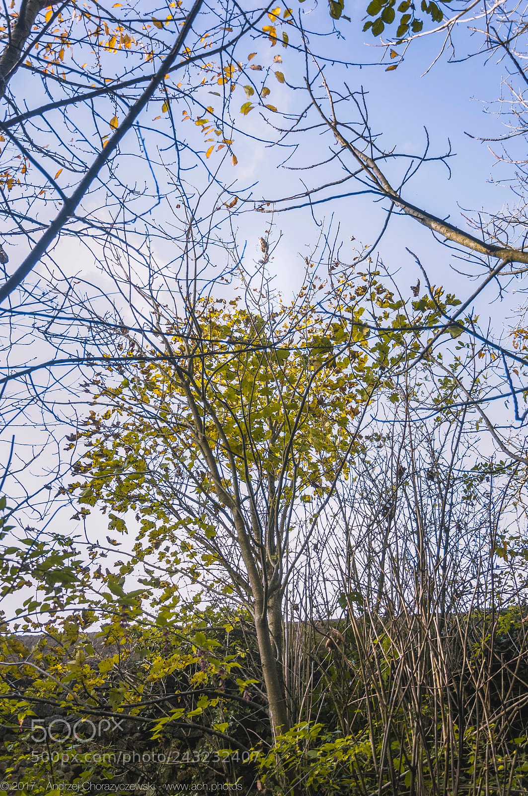 Nikon D90 sample photo. 2017 newbridge farm and house photography