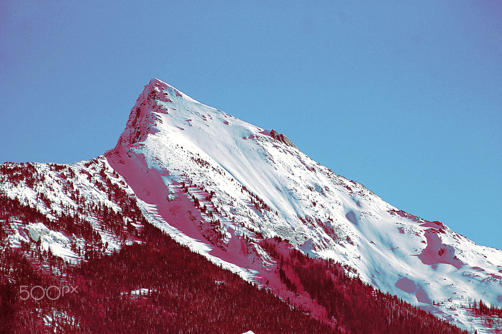 Canon EF 75-300mm f/4-5.6 USM sample photo. Mount willet photography