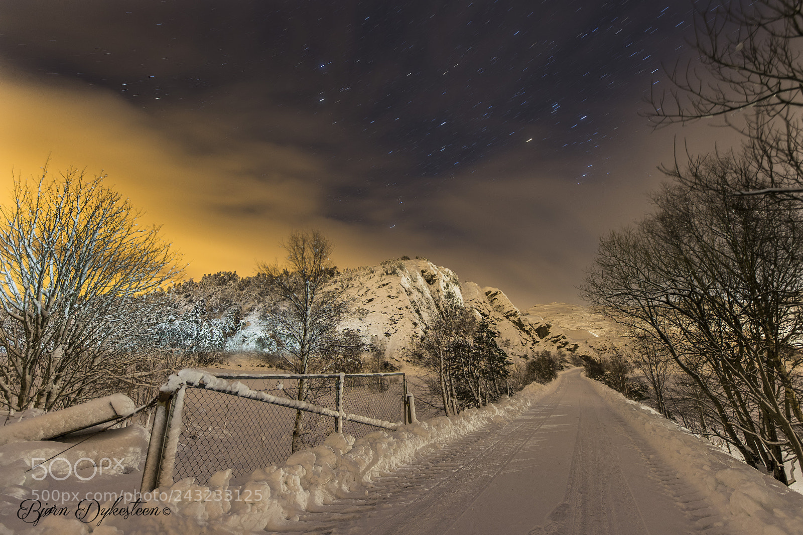 Canon EOS-1D X Mark II sample photo. Winter landscape 2 photography